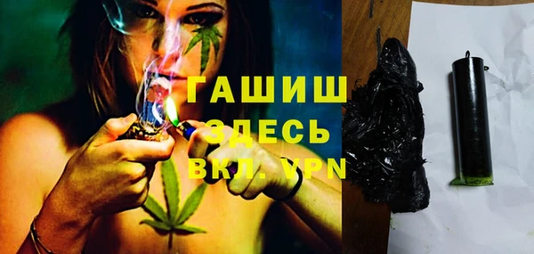 индика Пестово