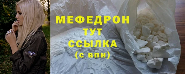 индика Пестово