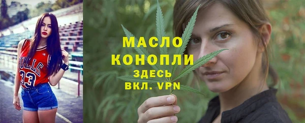 индика Пестово