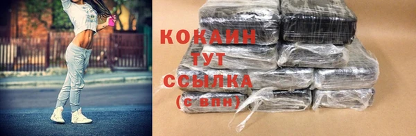 индика Пестово