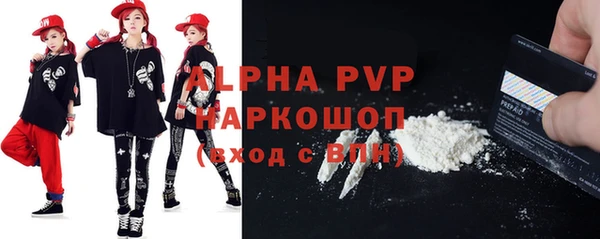 индика Пестово