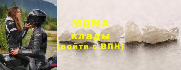 индика Пестово