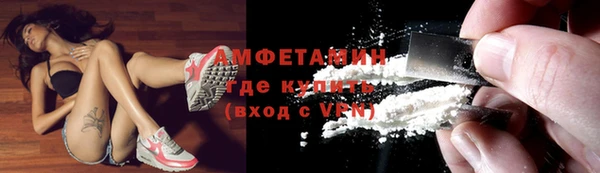индика Пестово