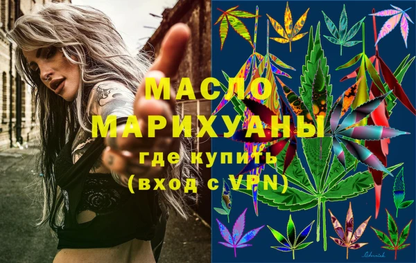 индика Пестово