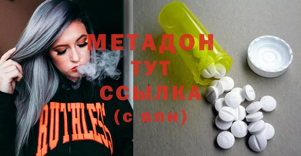 индика Пестово