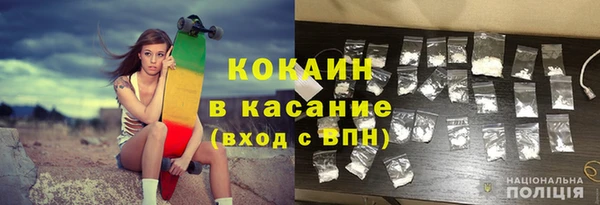 индика Пестово