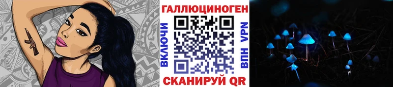 блэк спрут ссылки  Калуга  Псилоцибиновые грибы Psilocybe 